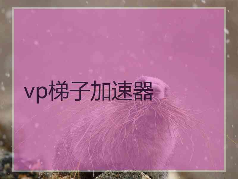 vp梯子加速器