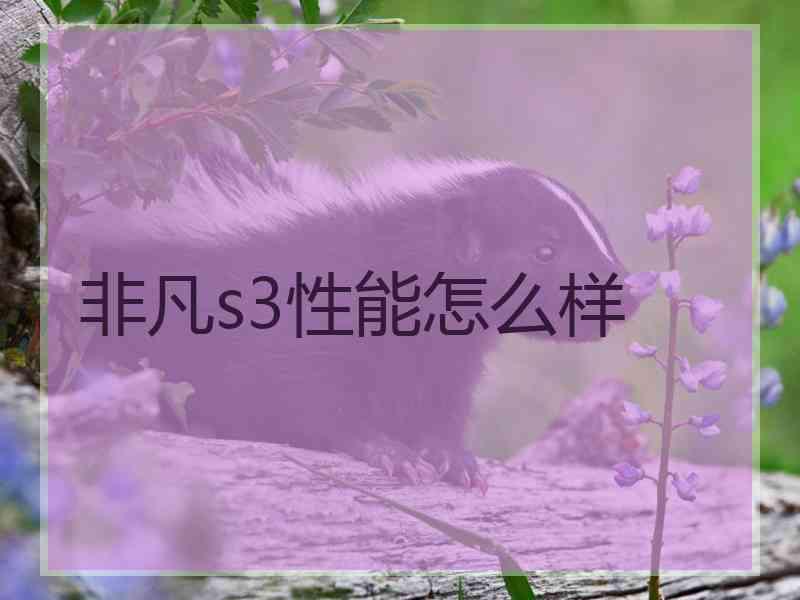 非凡s3性能怎么样