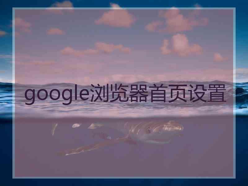 google浏览器首页设置