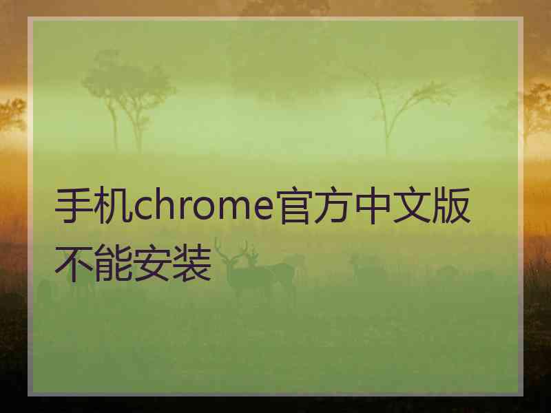 手机chrome官方中文版不能安装