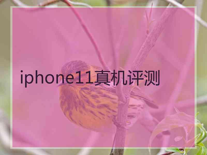 iphone11真机评测