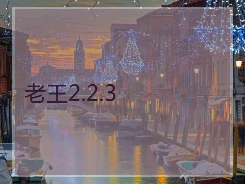 老王2.2.3