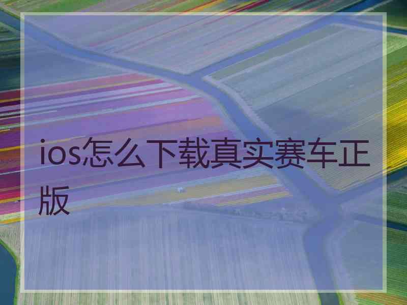 ios怎么下载真实赛车正版