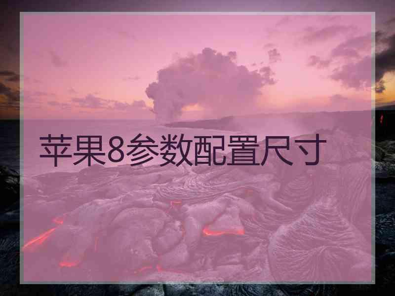 苹果8参数配置尺寸