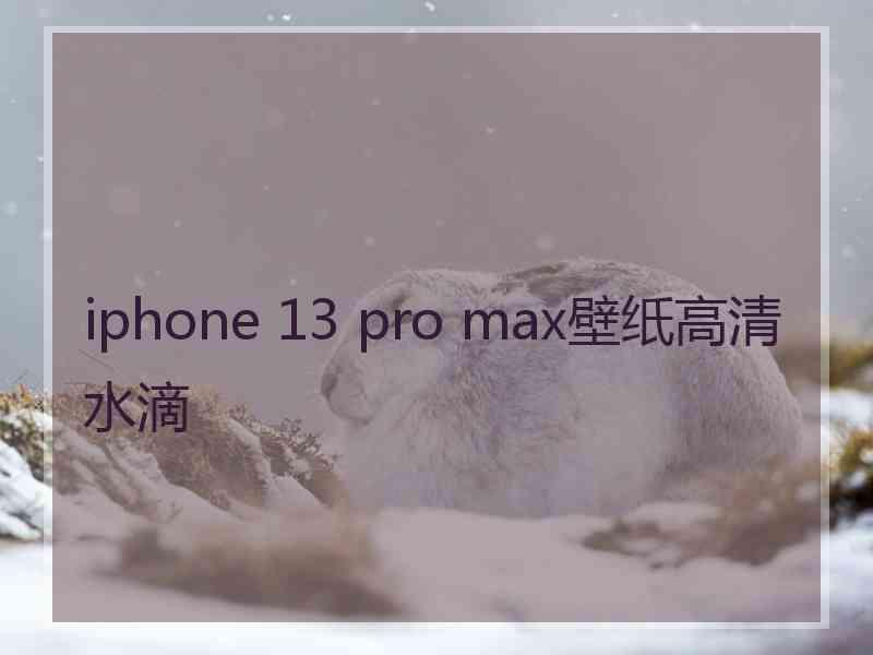 iphone 13 pro max壁纸高清水滴