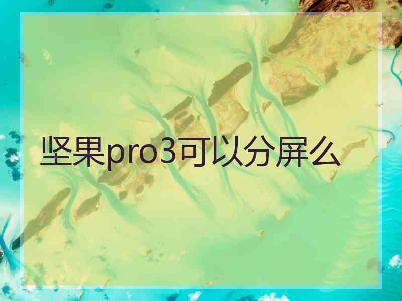 坚果pro3可以分屏么