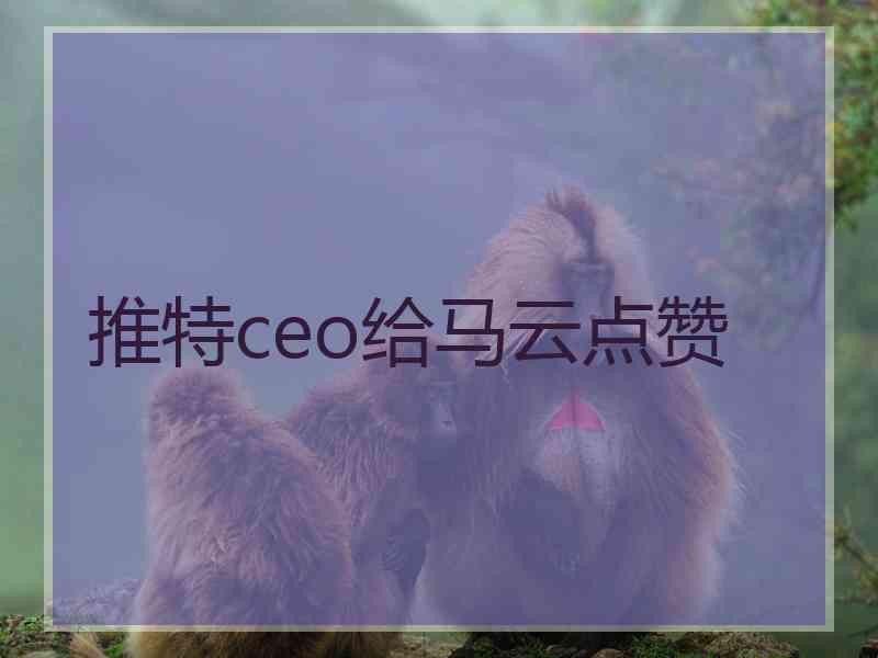 推特ceo给马云点赞