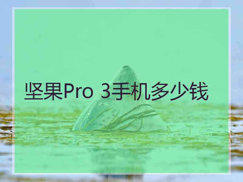 坚果Pro 3手机多少钱