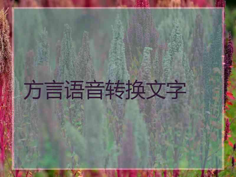 方言语音转换文字