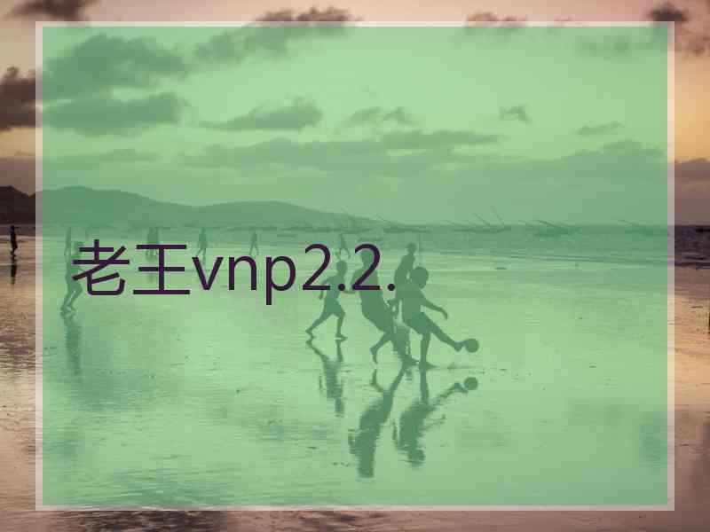 老王vnp2.2.