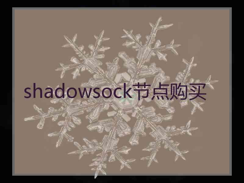 shadowsock节点购买