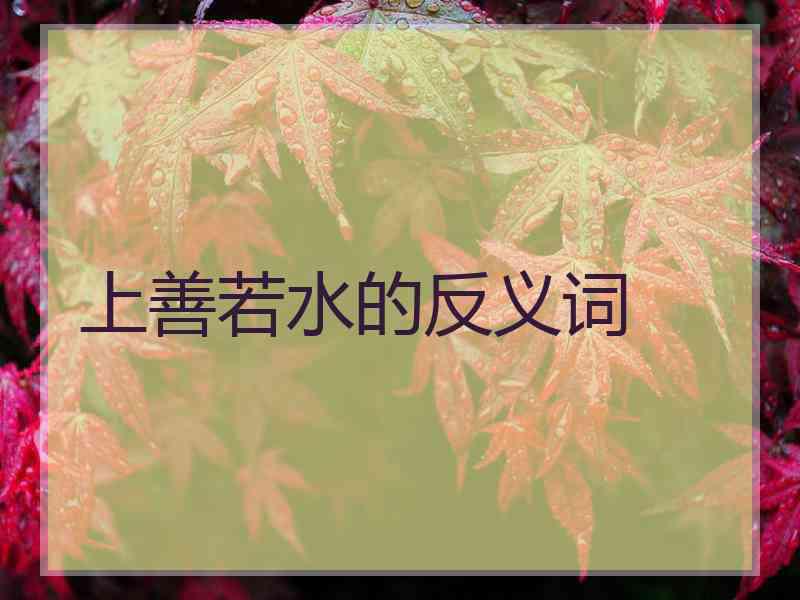 上善若水的反义词