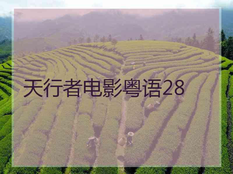 天行者电影粤语28