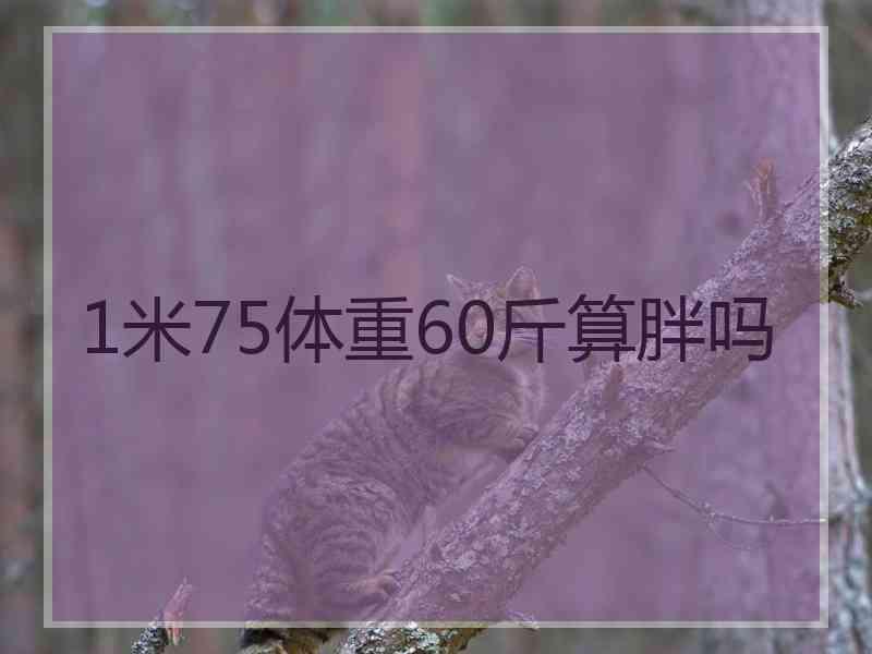 1米75体重60斤算胖吗