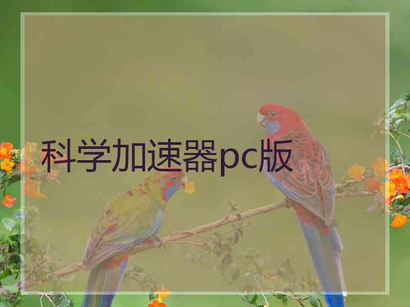 科学加速器pc版