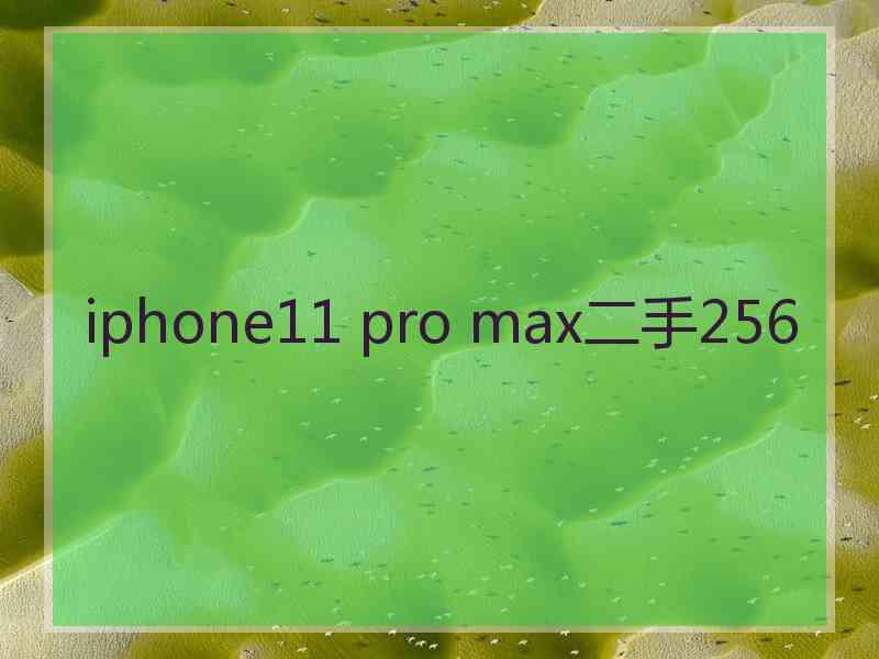 iphone11 pro max二手256