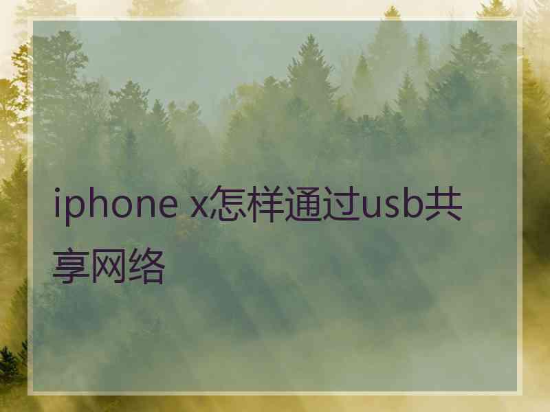 iphone x怎样通过usb共享网络