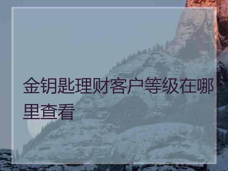 金钥匙理财客户等级在哪里查看