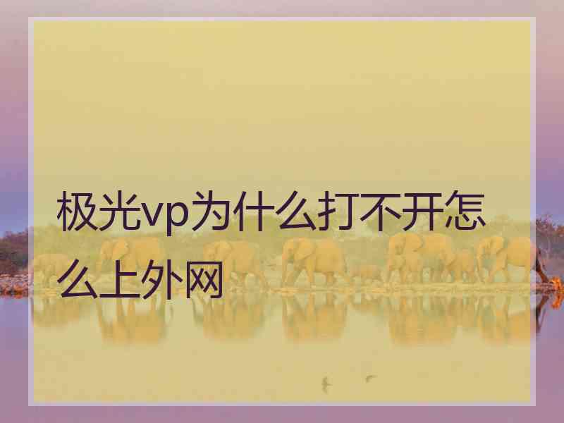 极光vp为什么打不开怎么上外网