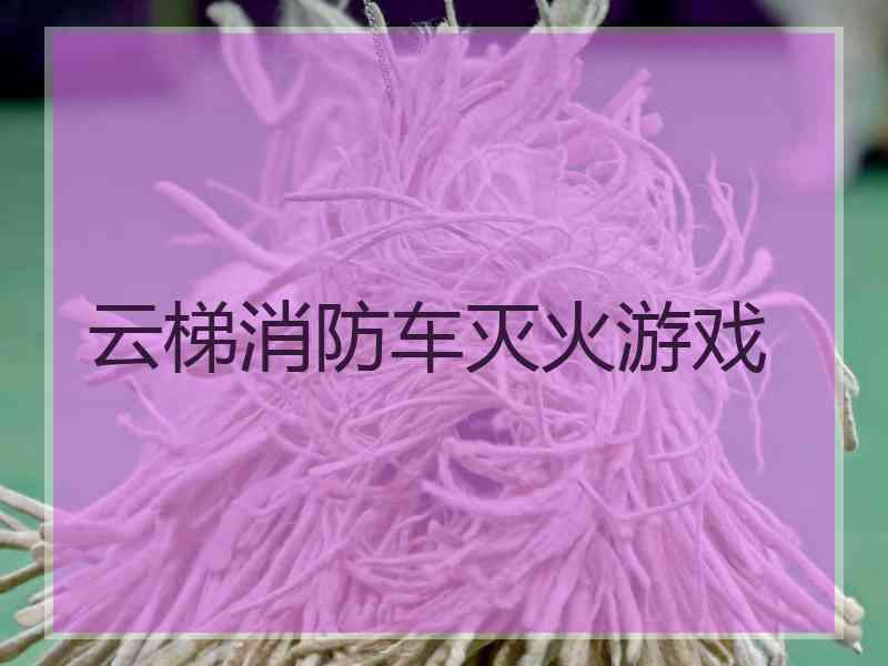 云梯消防车灭火游戏