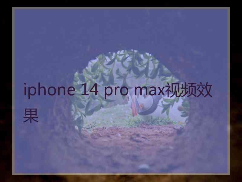 iphone 14 pro max视频效果