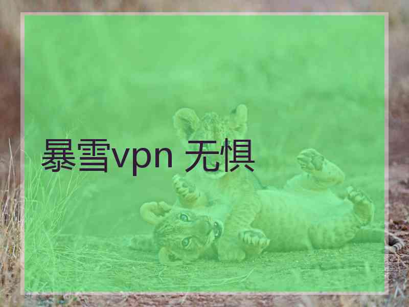 暴雪vpn 无惧