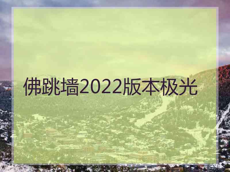 佛跳墙2022版本极光