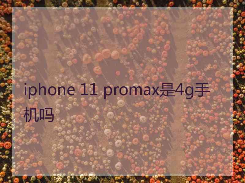 iphone 11 promax是4g手机吗