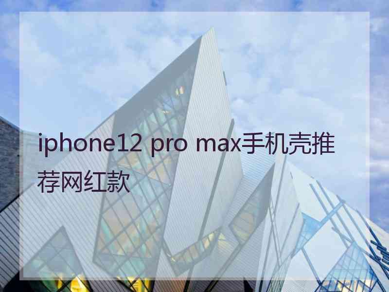 iphone12 pro max手机壳推荐网红款