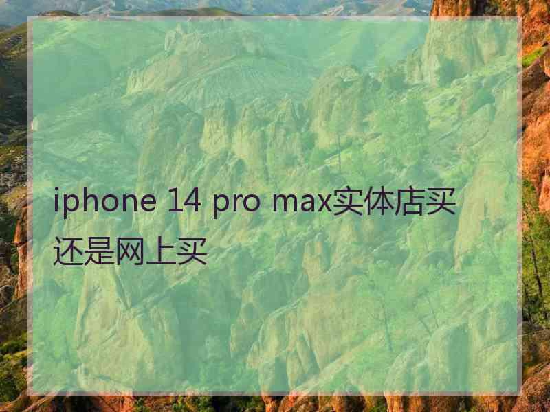 iphone 14 pro max实体店买还是网上买