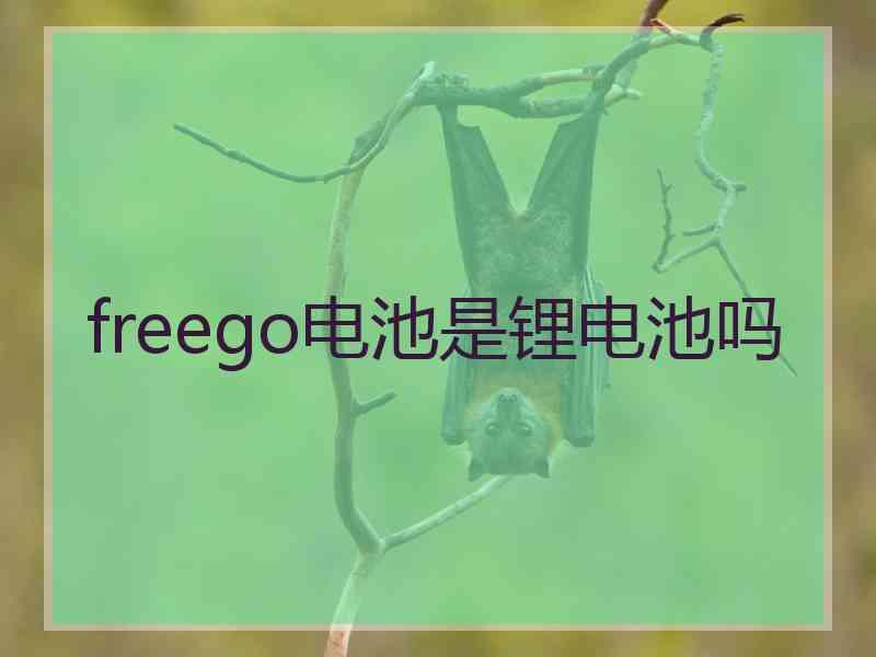 freego电池是锂电池吗