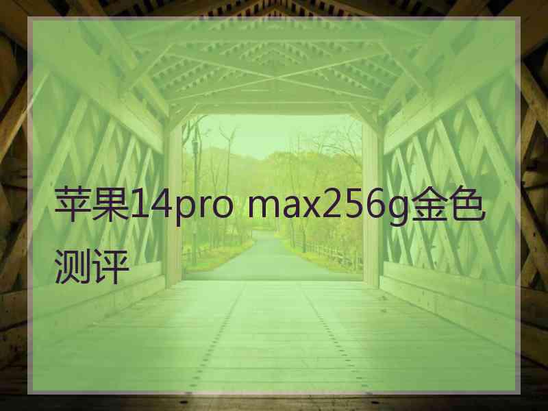 苹果14pro max256g金色测评