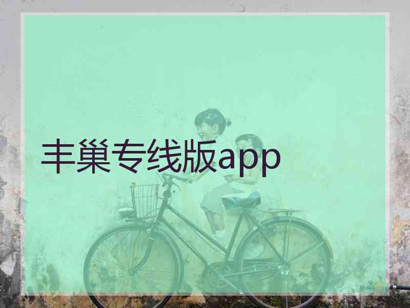 丰巢专线版app