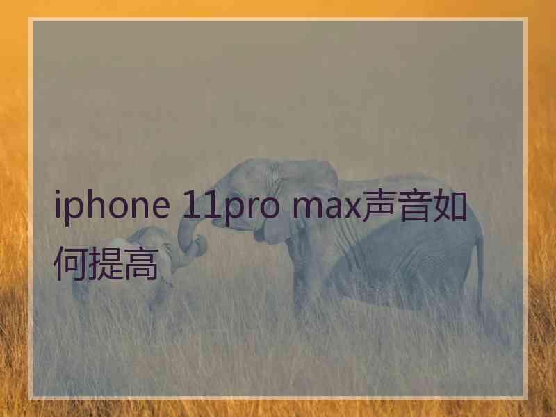 iphone 11pro max声音如何提高