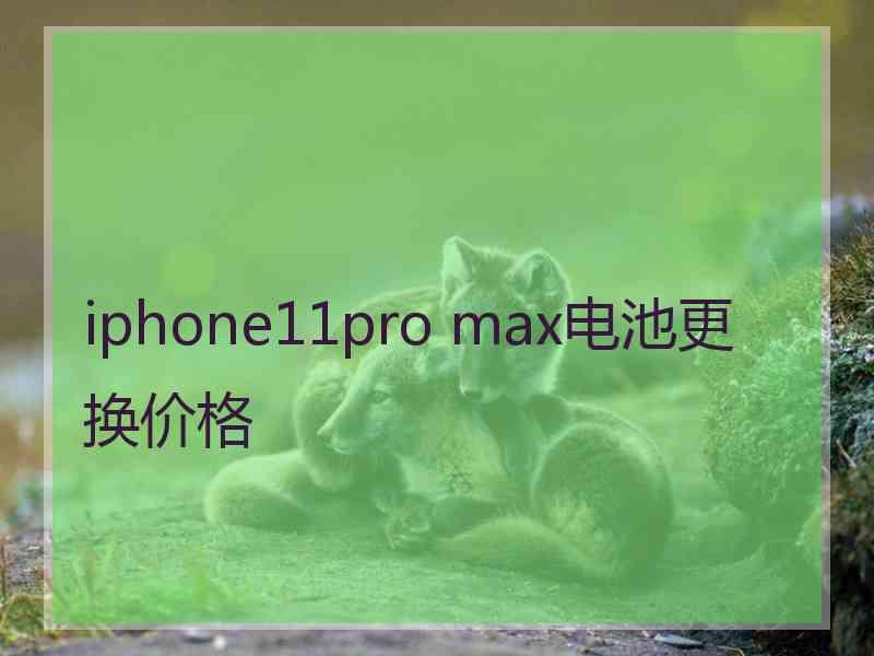 iphone11pro max电池更换价格