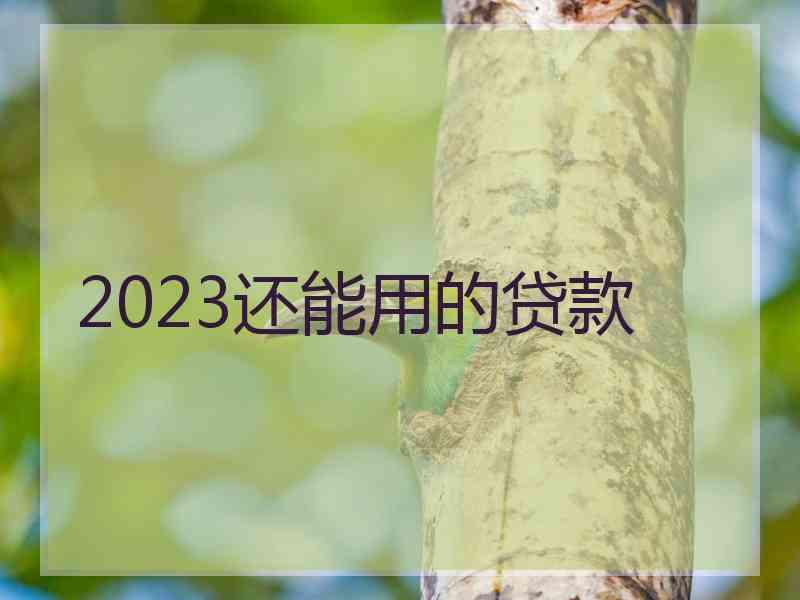 2023还能用的贷款