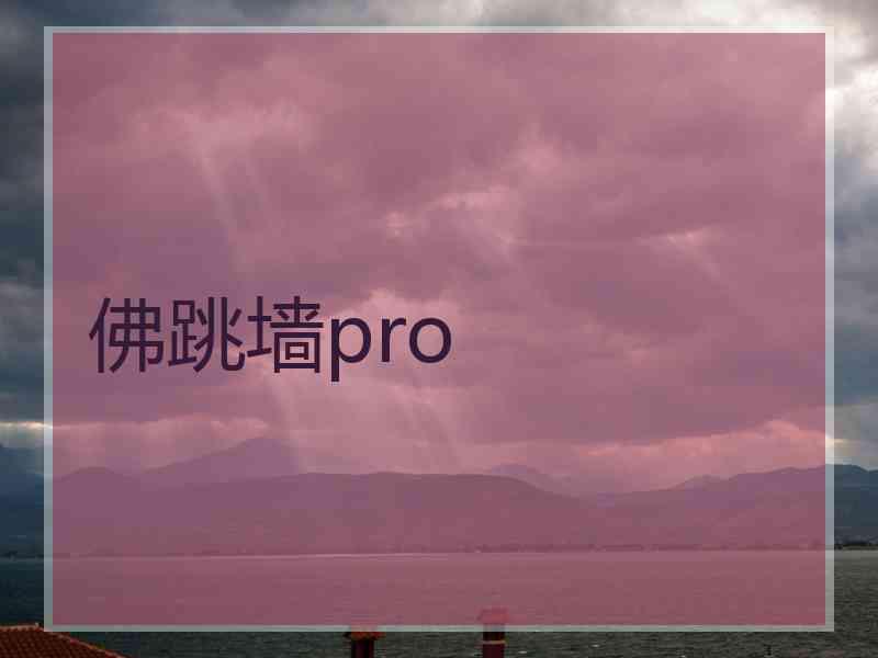 佛跳墙pro