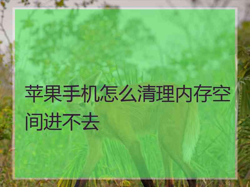 苹果手机怎么清理内存空间进不去