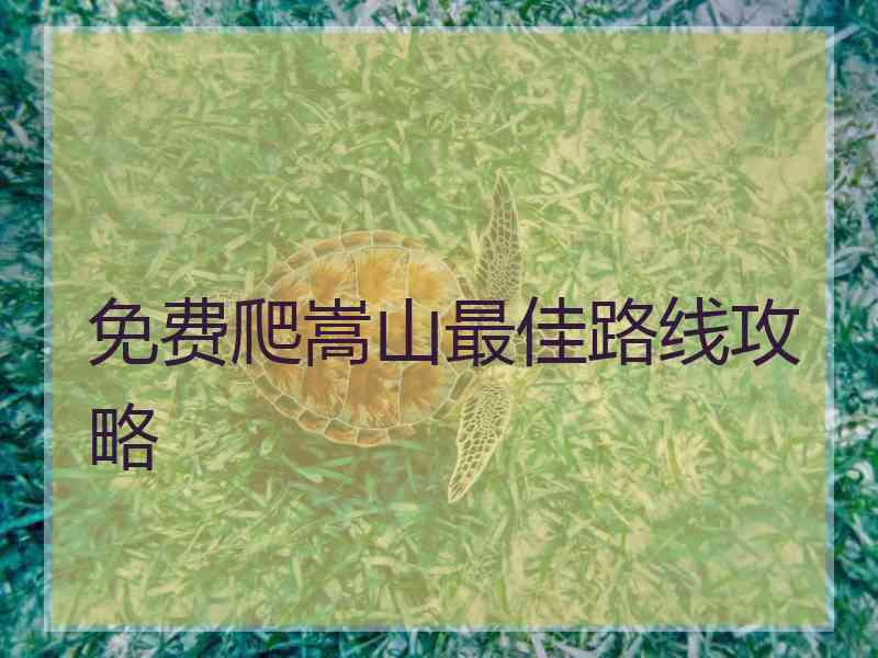 免费爬嵩山最佳路线攻略