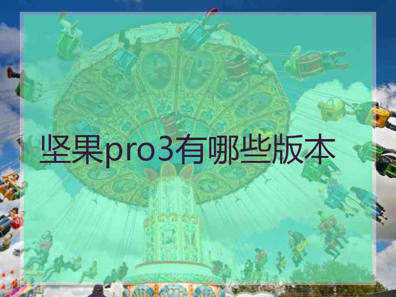 坚果pro3有哪些版本