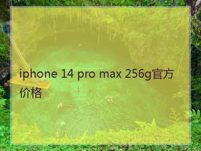 iphone 14 pro max 256g官方价格