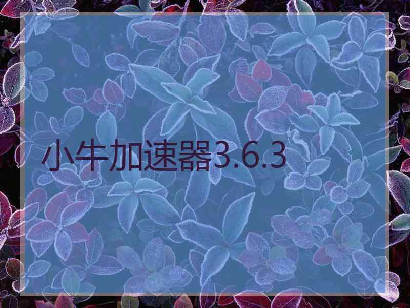 小牛加速器3.6.3