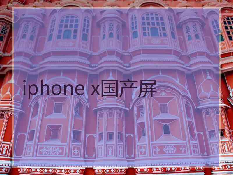 iphone x国产屏