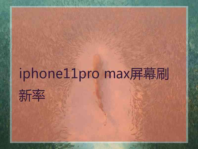 iphone11pro max屏幕刷新率