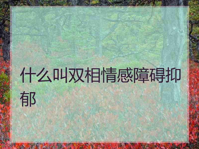 什么叫双相情感障碍抑郁