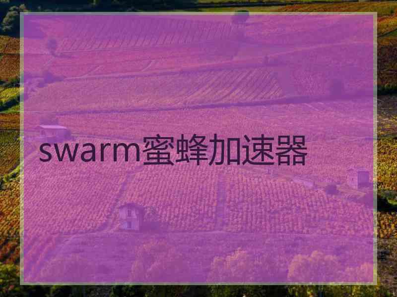 swarm蜜蜂加速器