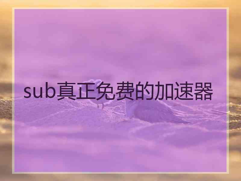 sub真正免费的加速器