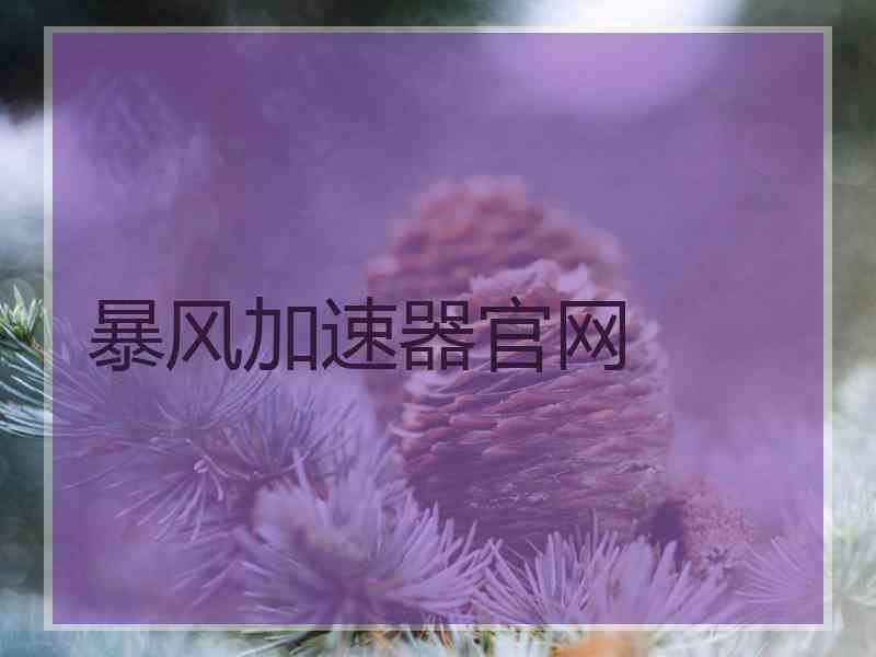 暴风加速器官网