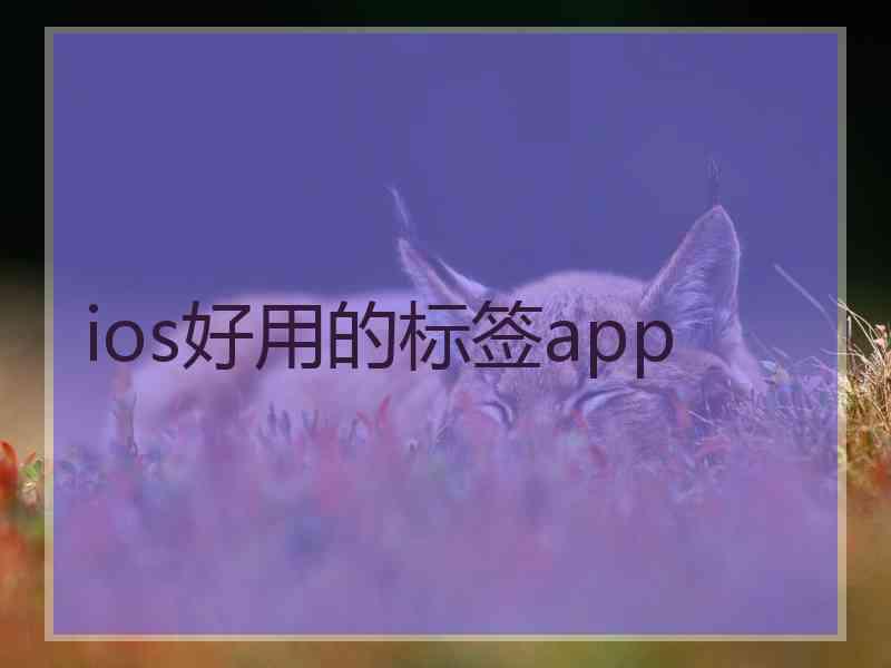 ios好用的标签app