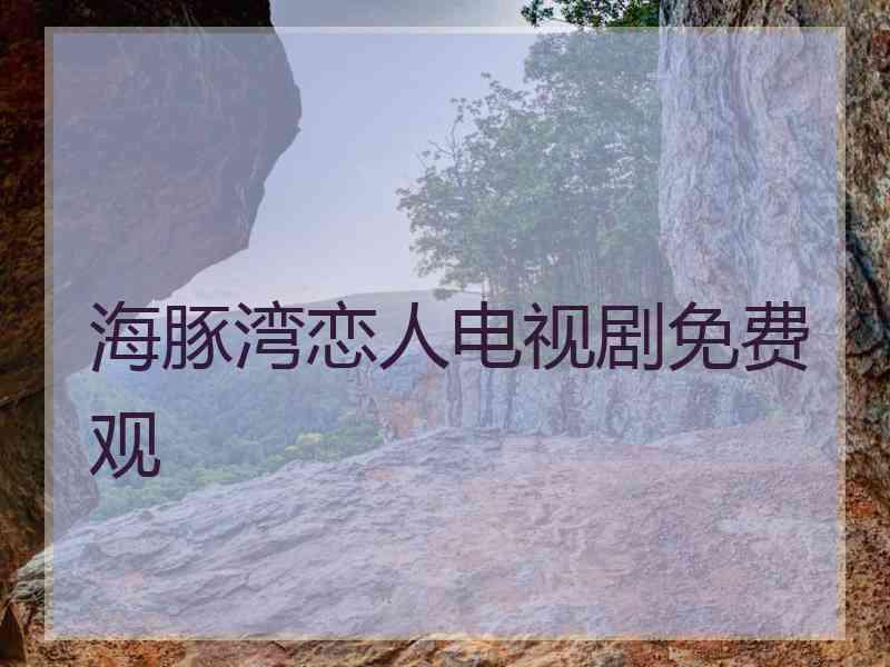 海豚湾恋人电视剧免费观